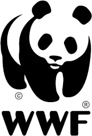 Gia tăng sức hút bằng thiết kế bao bì đẹp - Công ty Thiết kế thương hiệu Mondial Brand logo WWF