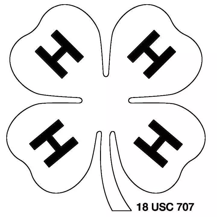 Mẫu thiết logo công ty công nghệ - viễn thông - Công ty Thiết kế thương hiệu Mondial Brand