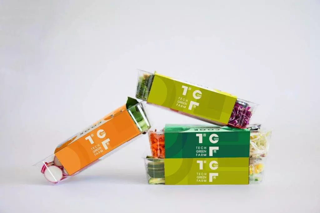 Techgreen farm - bộ nhận diện thương hiệu ngành nông nghiệp